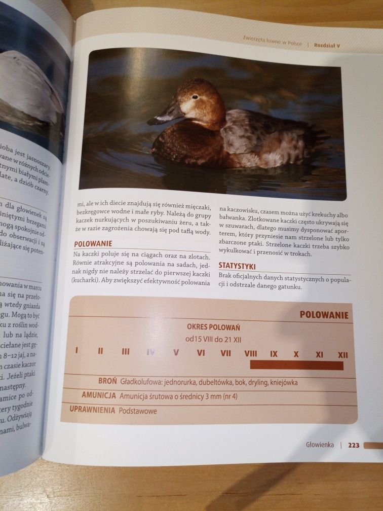 Łowiectwo praca zbiorowa album