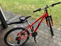 Rower Specialized 24”