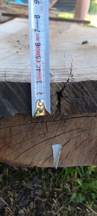 Deska/Brus Orzech Włoski