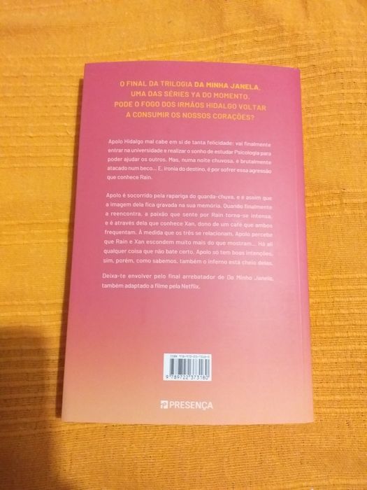 Livro Da minha janela: olhos nos olhos os irmãos hidalgo ariana godoy
