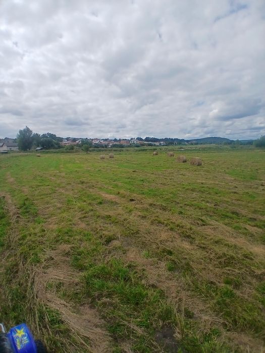 продам тюки сіна