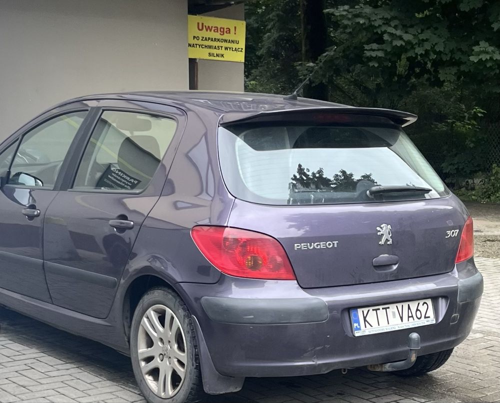 Peugeot 307 1.6 benzyna • 2002 r. • Jeździ, tanio