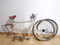 Bicicleta antiga