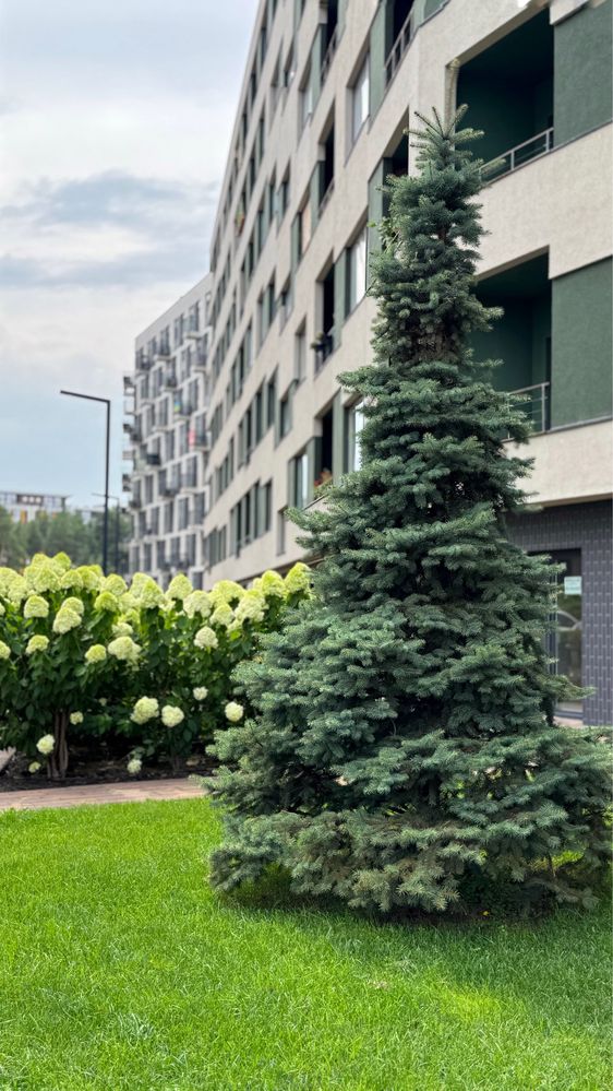 Продаж 2к квартири з ремонтом, ЖК Парк Таун
