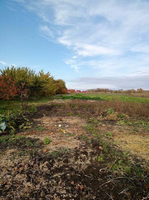 Английский бинокль ROSS LONDON 9х35 с оригин. кожаным кофром.