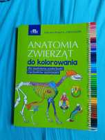 ANATOMIA zwierząt do kolorowania