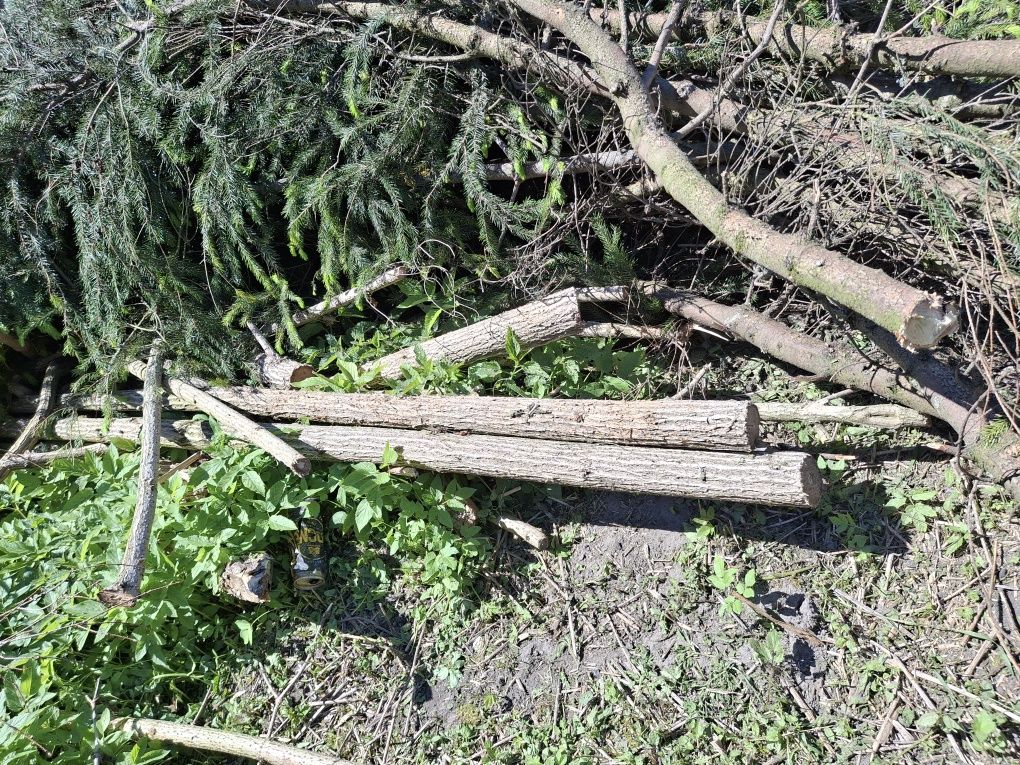 Oddam gałęzie na opał.