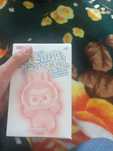 Labubu BOX Labubu