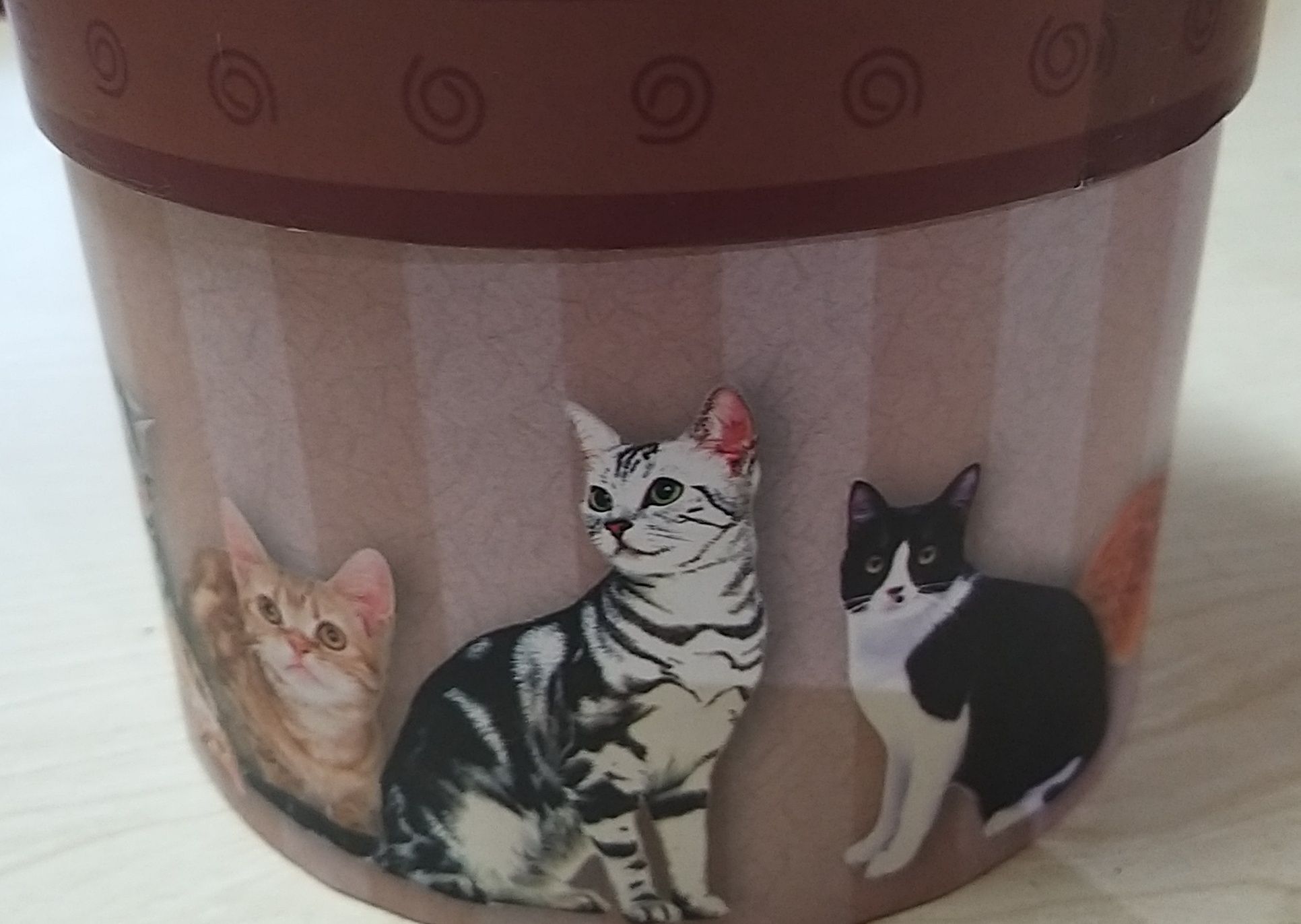 2 Caixinhas com Gatos.