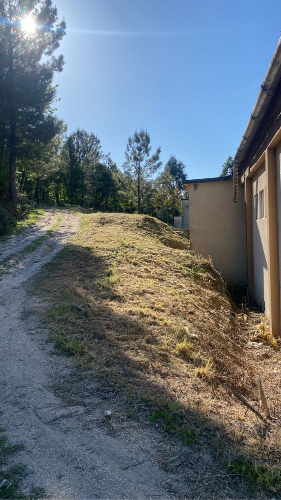 Limpezas de terrenos