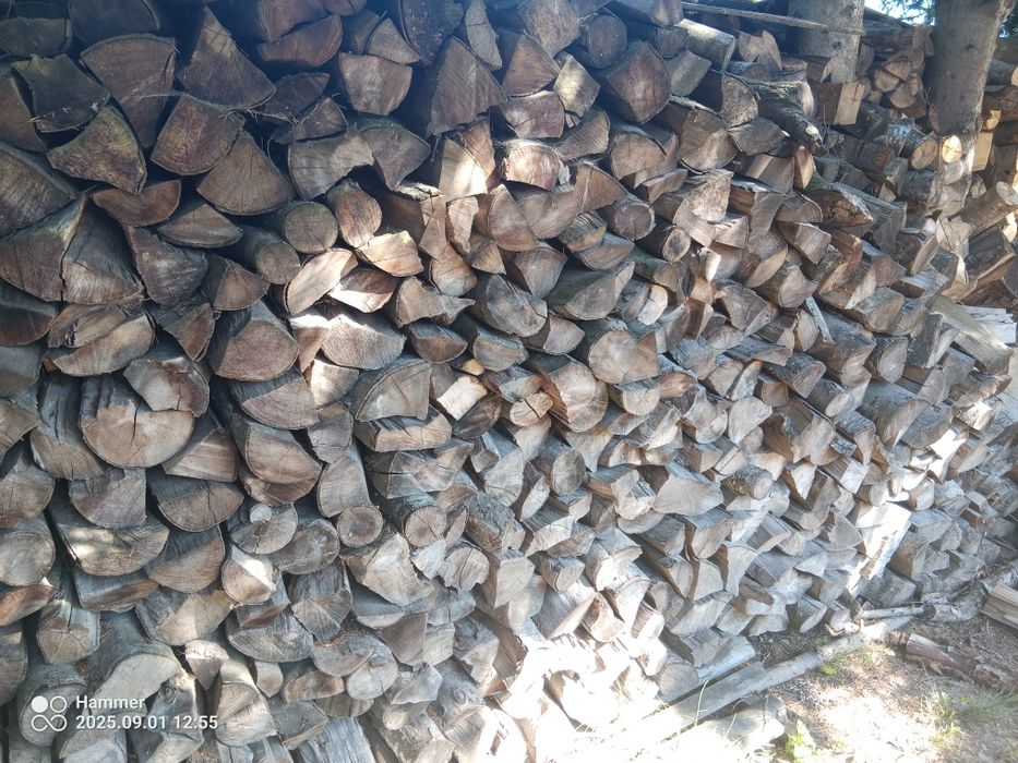 Drewno opałowe kominkowe Buk