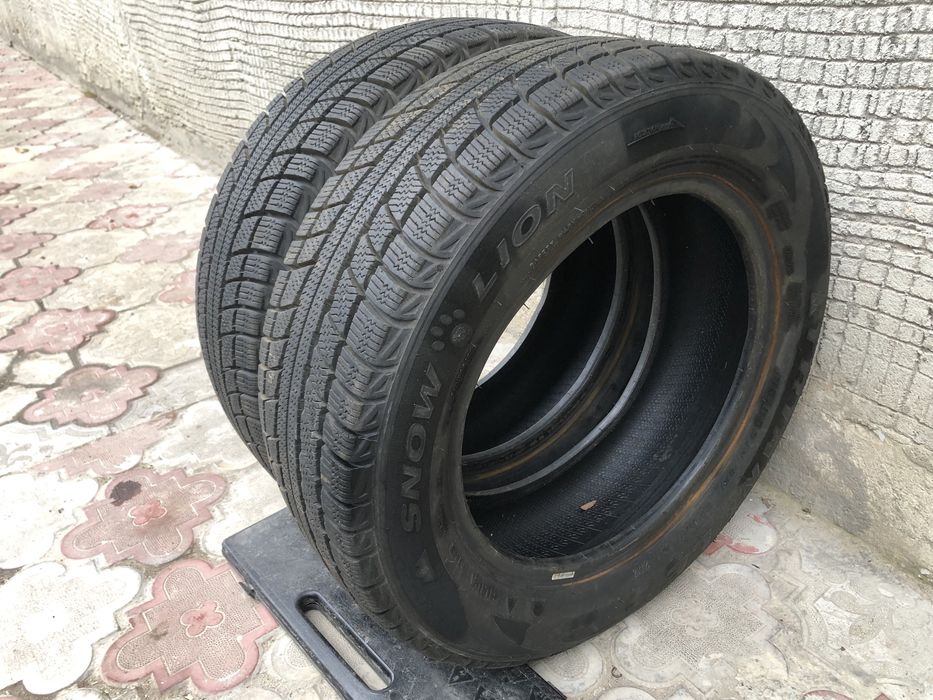 Пара зимових шин Triangle Snowlion 175/65 R14
