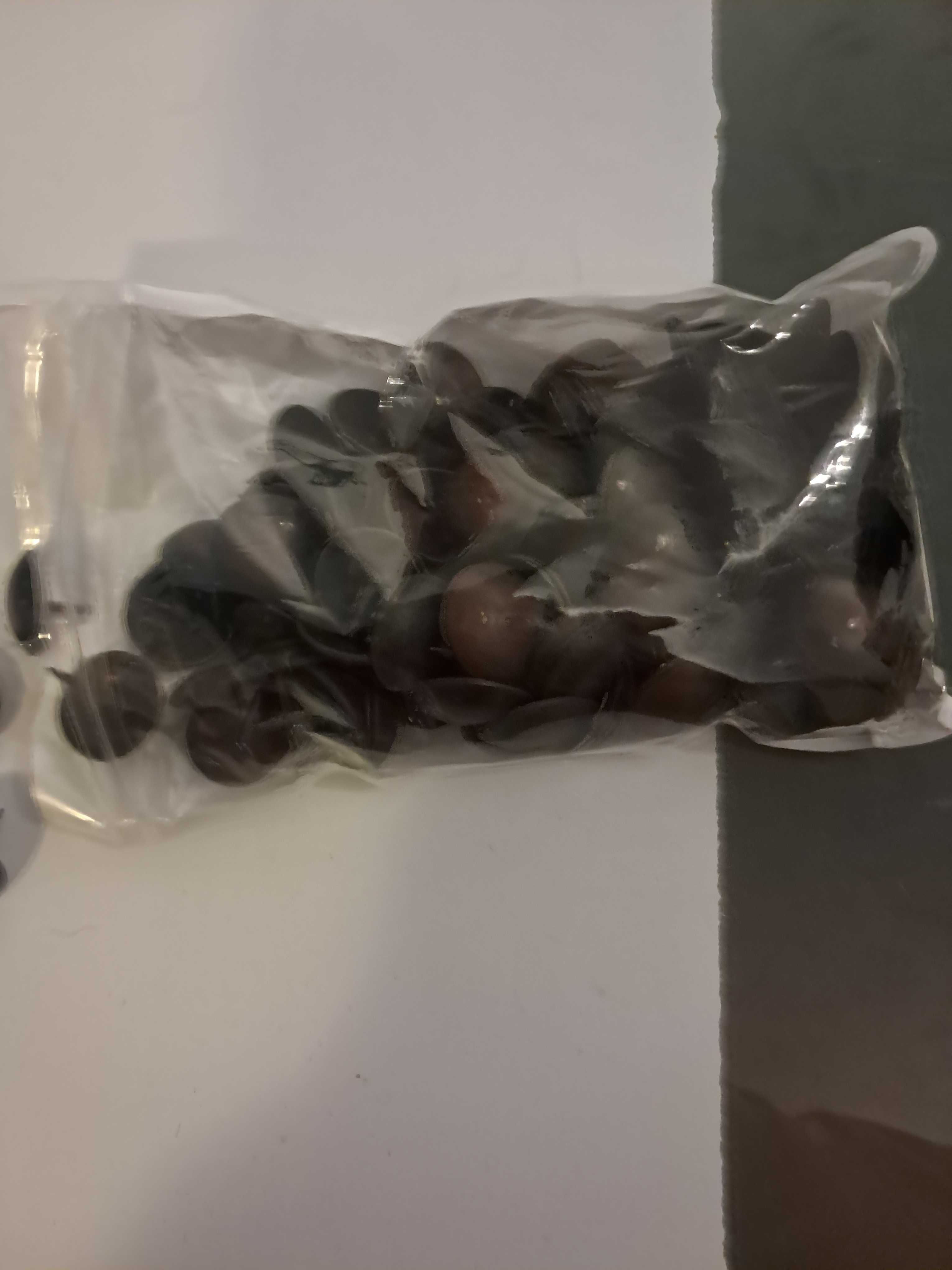 tachas de latao, para cadeiras etc
