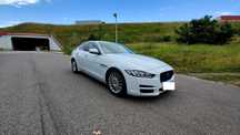 Jaguar XE Navi Bi Ksenon Skóra Łopatki Kamera 2014 r 2,0 TD