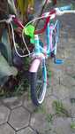 Vendo bicicleta  infantil