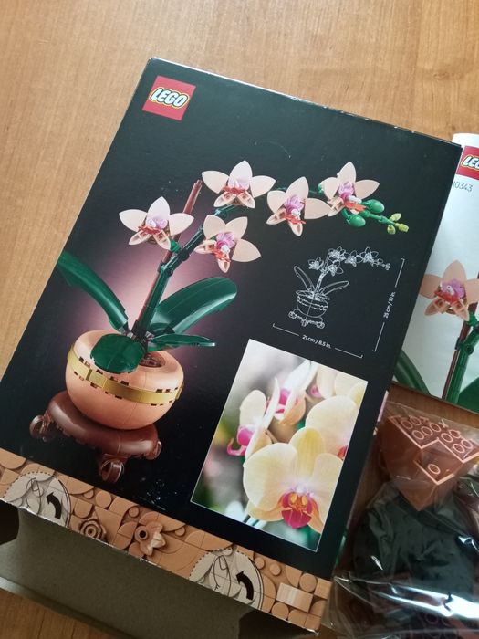 LEGO Orchidea 10343 Botanical