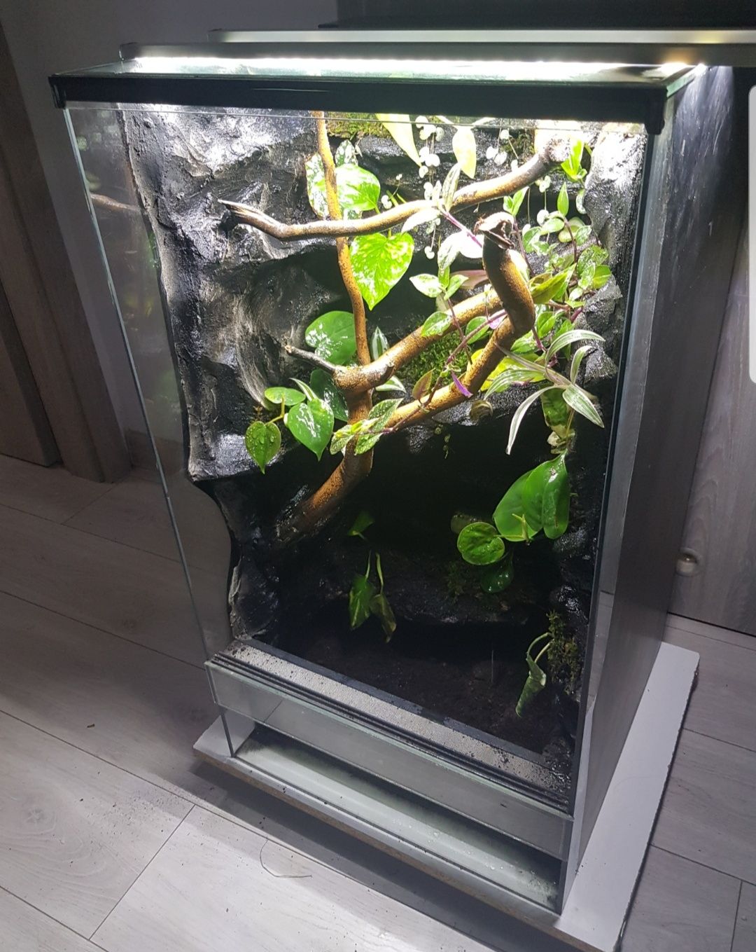 Terrarium tropikalne 45x45x80