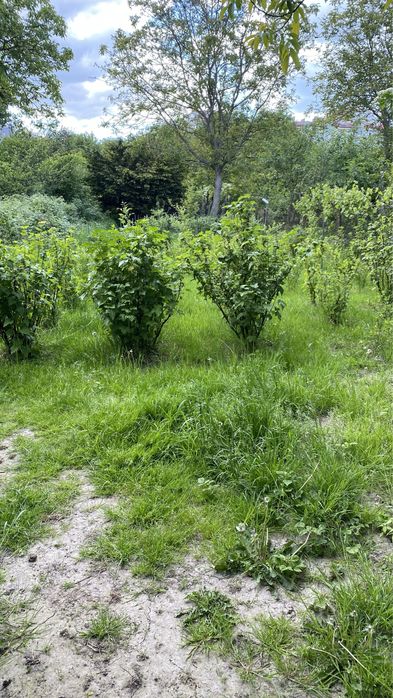 Варшавська Ждахи Малоголосківська Квартира особнячного типу