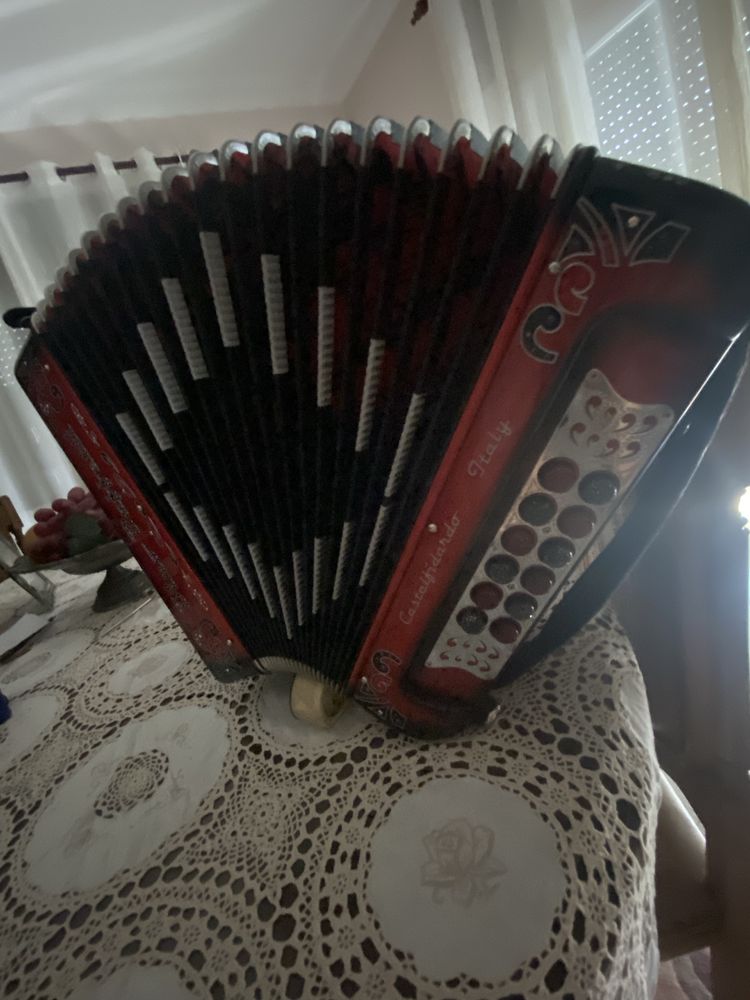Concertina Dino Baffetti supertuga