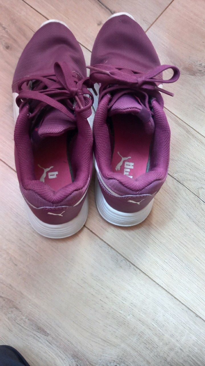 Bordowe buty puma.