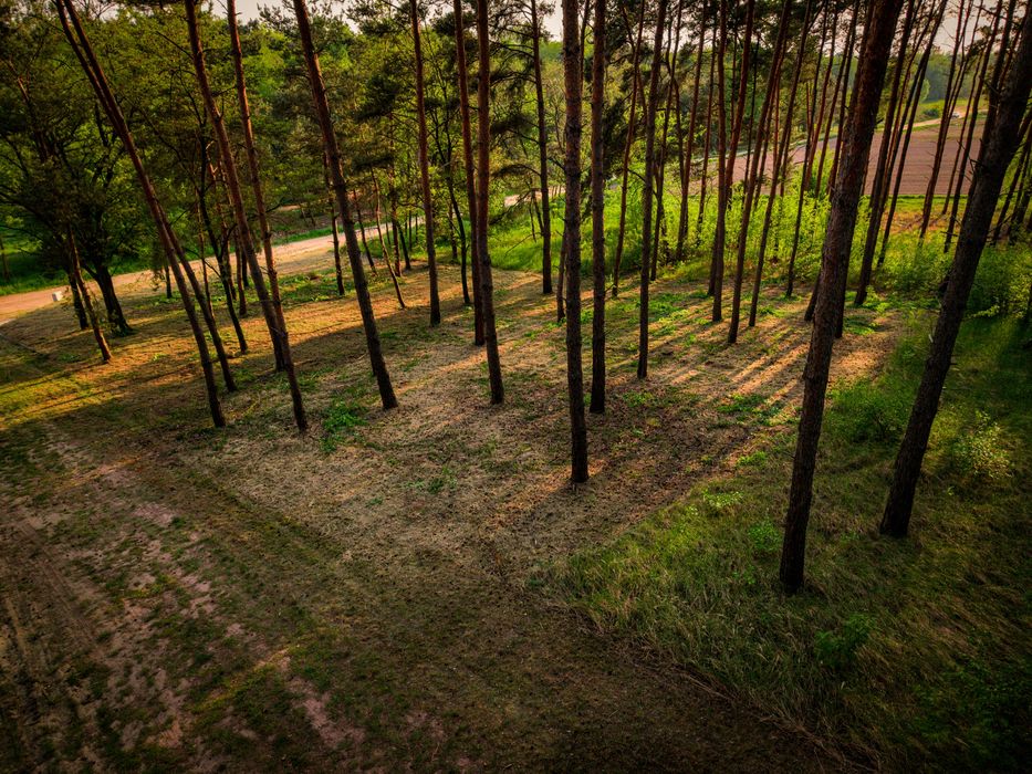 Działka rekreacyjno-budowlana Żelazno