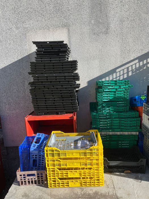 Caixas variadas fruta/bricolage