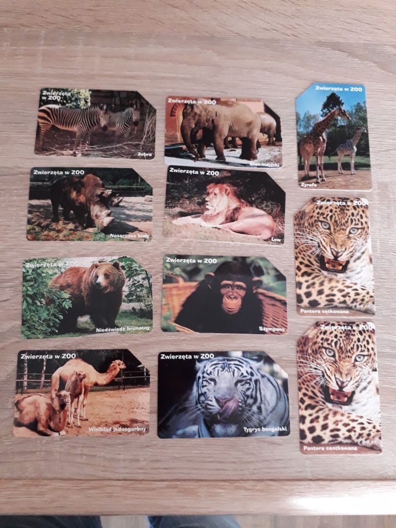 Zwierzęta w ZOO - seria - karty telefoniczne