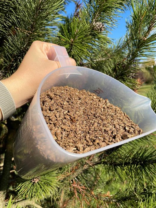 Omega Fiber pasze włókno wysłodki dla konie