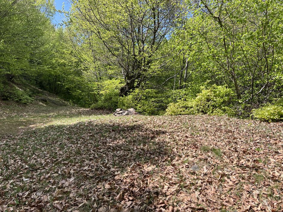 Крута локація у селі Мерешор ділянка 7 сотих