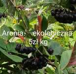 Aronia  ekologiczna -1 kg./5zł