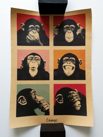 Plakat małpki 51x36 sztywny papier karton