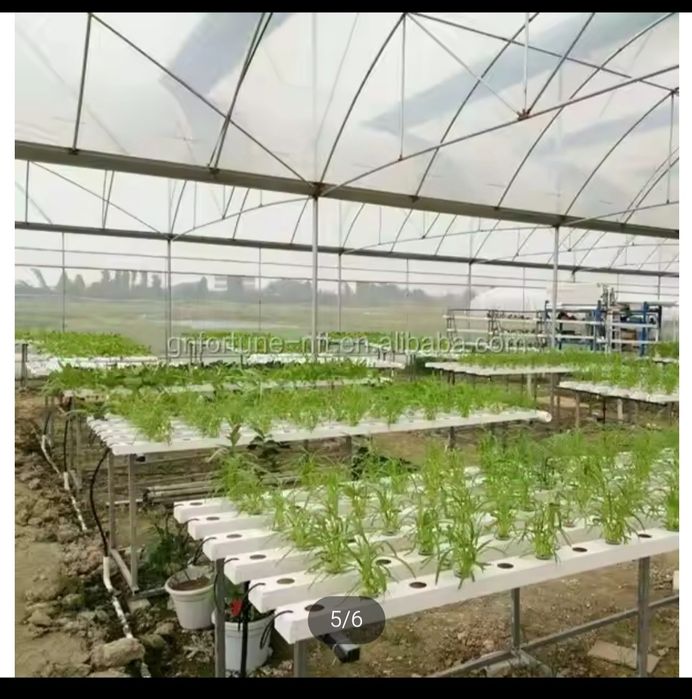 Estufa agricola de hidroponia