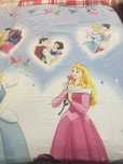 Capa de Edredon de cama de solteiro - Princesas Disney