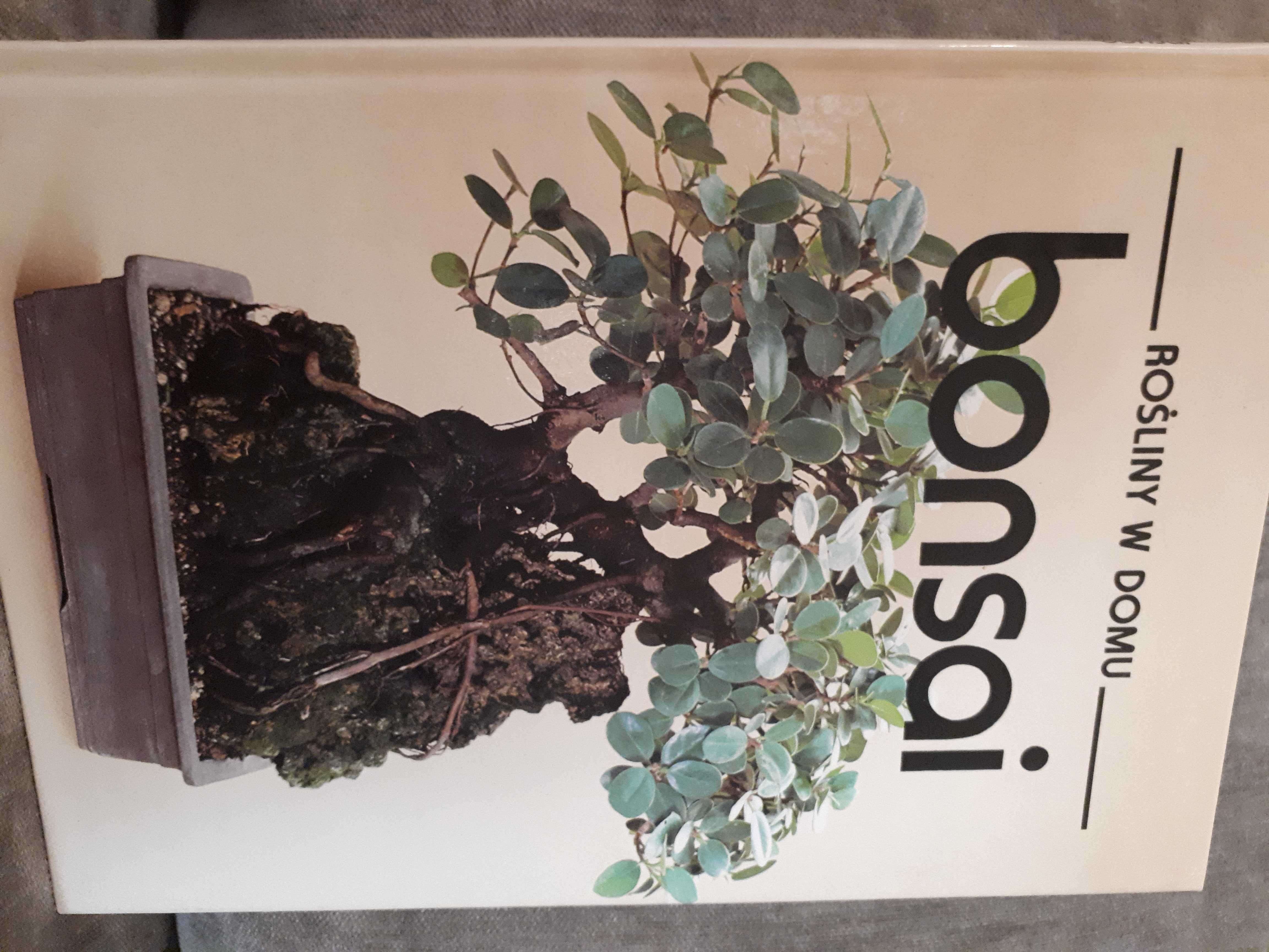 Bonsai - z serii Rośliny w domu