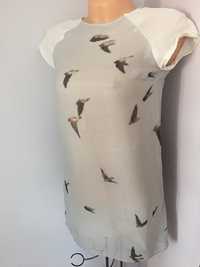 Letnia szara sukienka Zara xs s prosta z rękawkiem