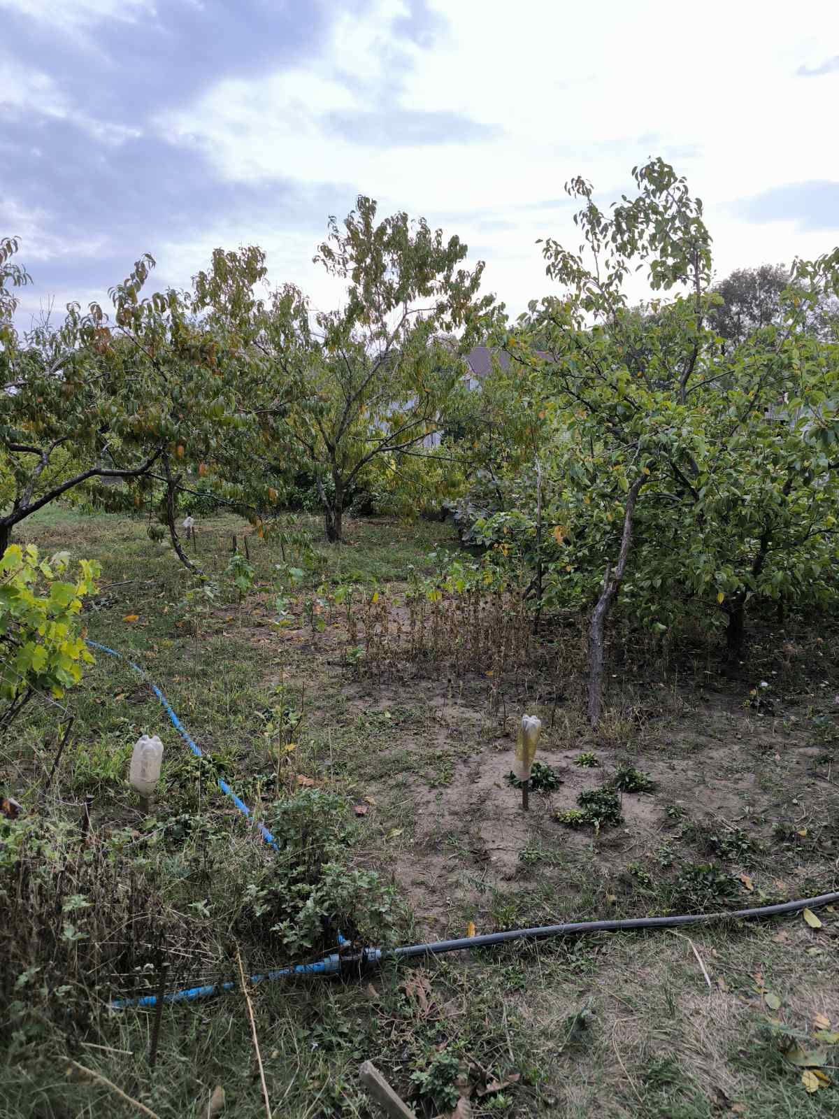 Продам дачу в Грушевке