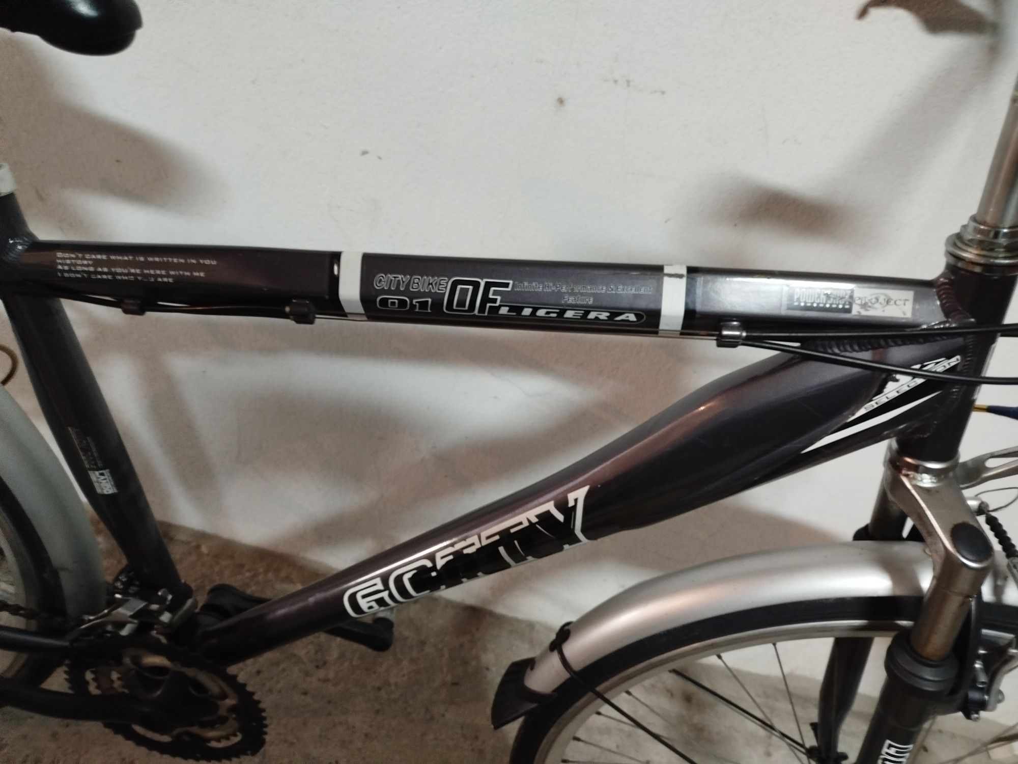 Bicicleta de mulher