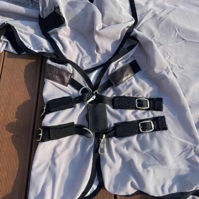 Derka siatkowa Kentucky