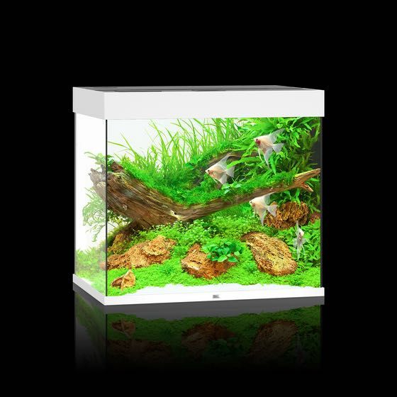 NOWE Akwarium Juwel Lido 200 LED, zestaw akwariowy