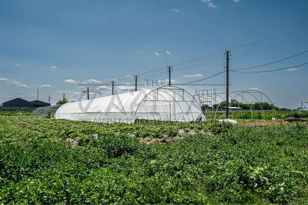 Продаж виробничого приміщення 1500м2, с.Русанів, вул.Жовтнева