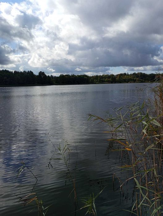 Działka z linią brzegową jeziora Długie 30ar