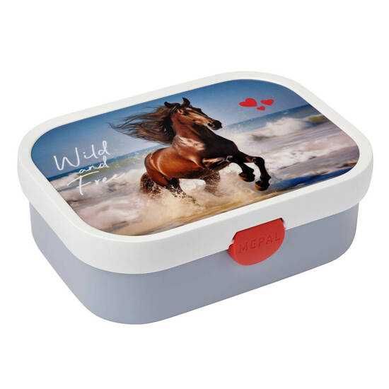 Lunchbox i bidon – Śniadaniówka i Butelka z Kolorowym Nadrukiem Mepal