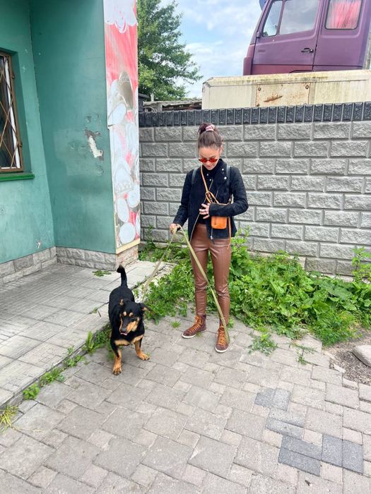 Підрощений песик - Добрим людям.