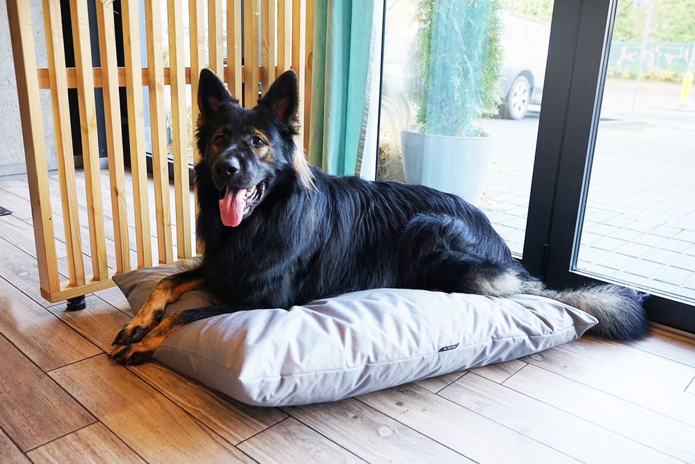 Wodoodporne legowisko poduszka dla psa ZOE (80x60 cm, Szary)