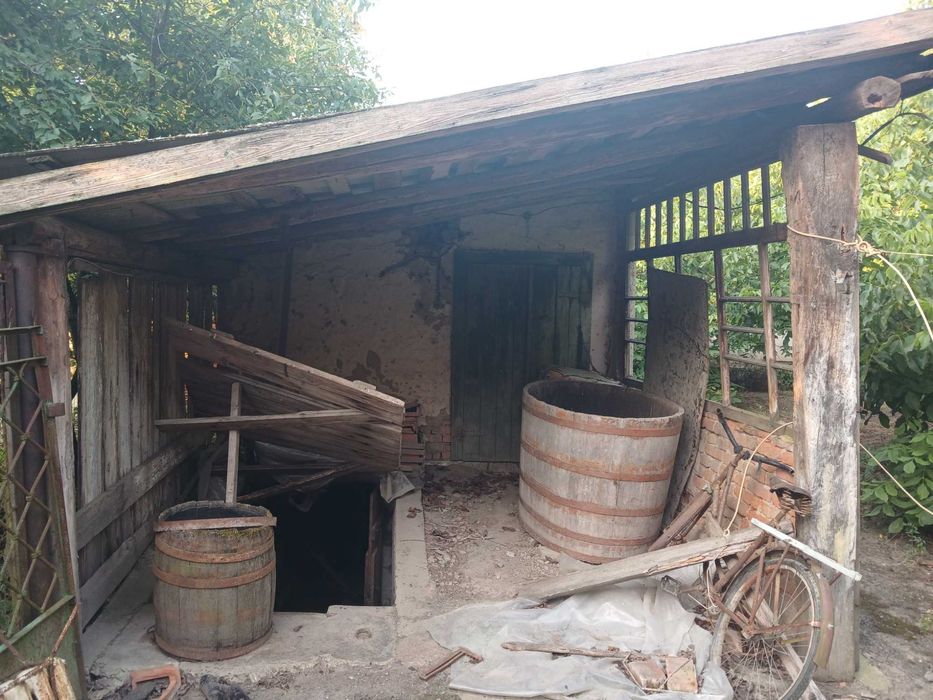 Будинок з горіховим садом в с. Мочола 3 км від м. Берегове