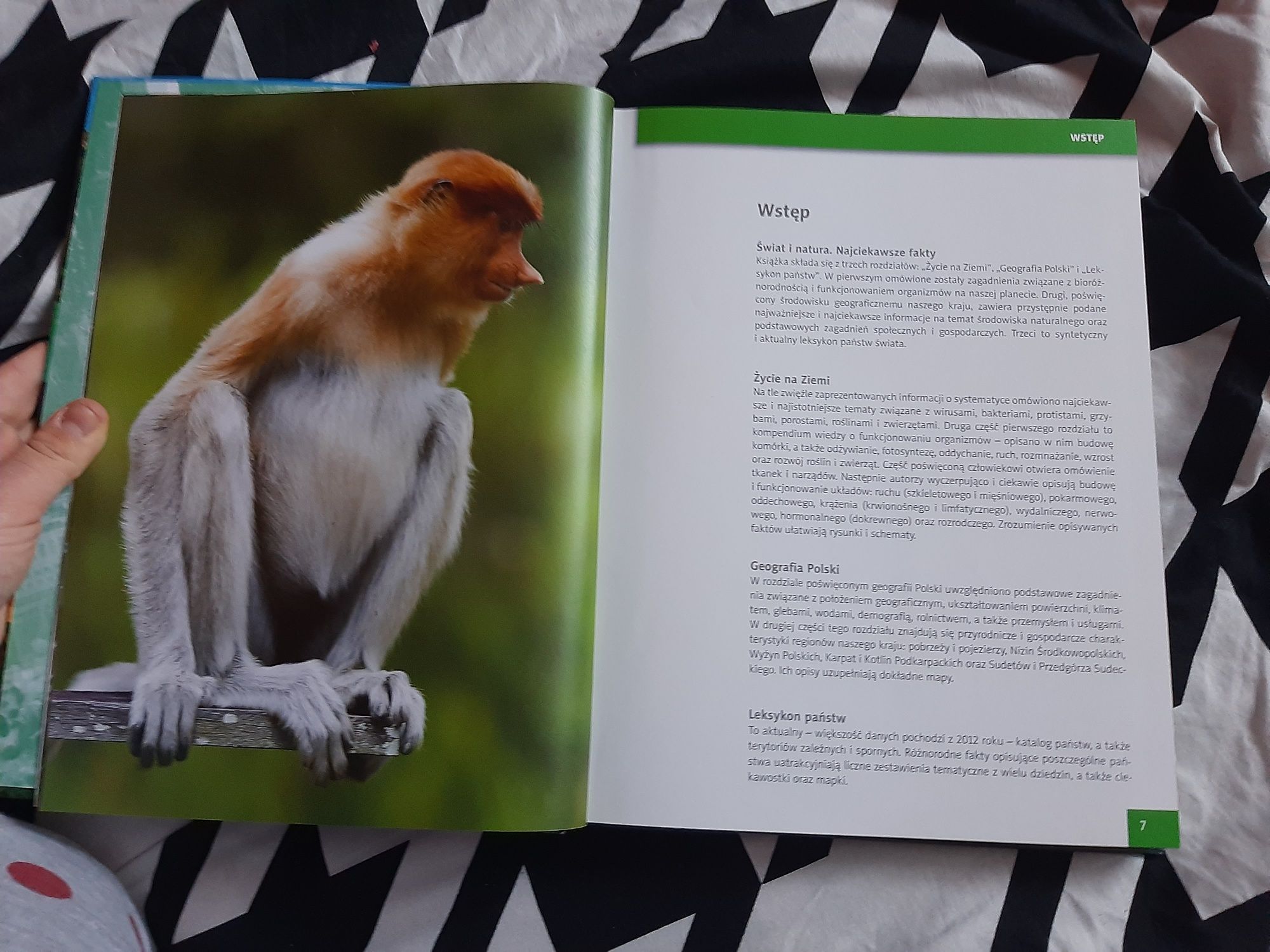 Świat i natura najciekawsze fakty