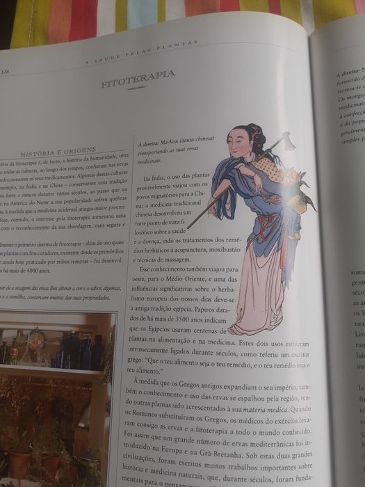 Livro " manual completo de Medicinas Naturais ", Mark Evans,