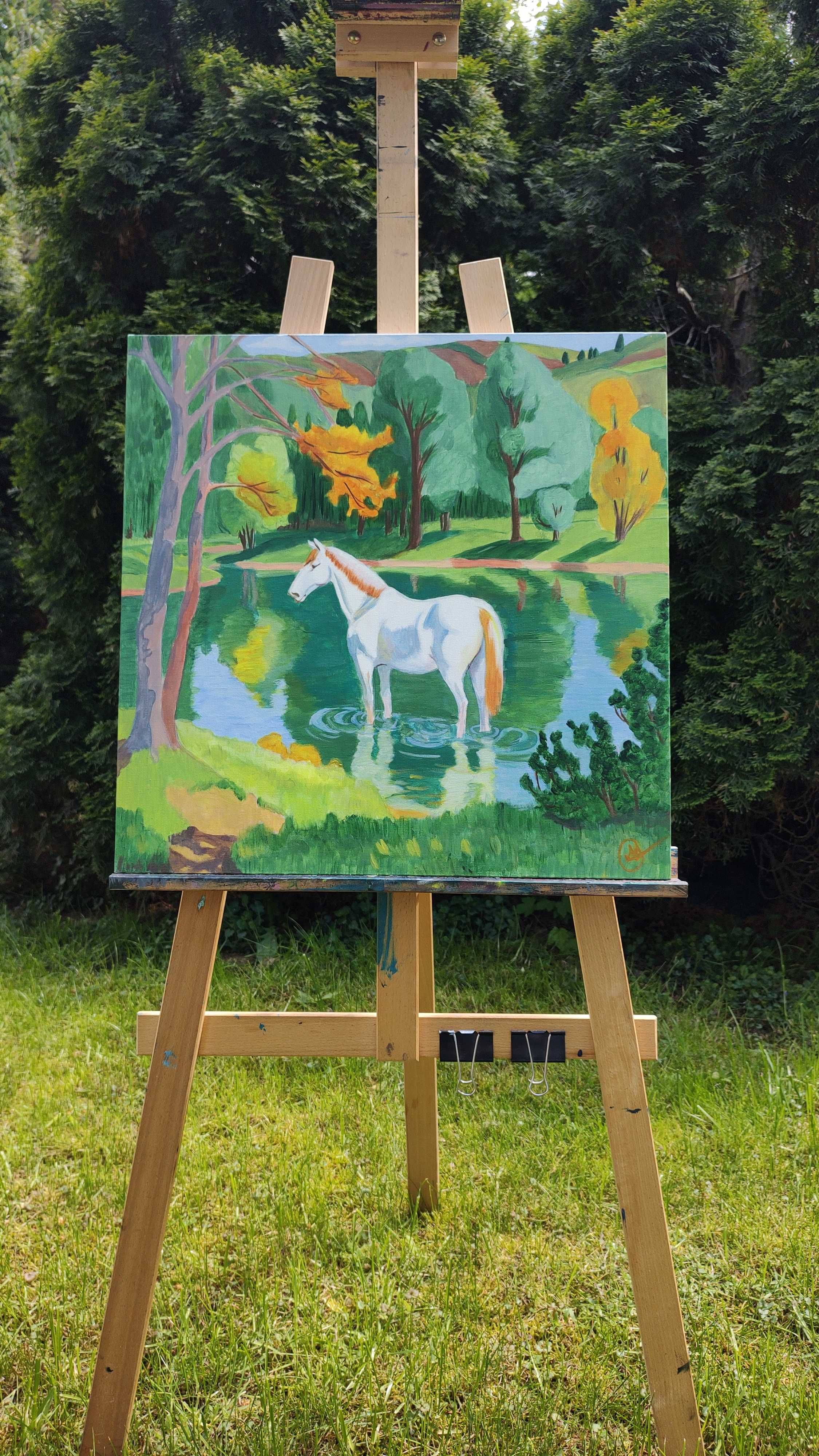 Obraz akrylowy Siwy Koń  50 x 50