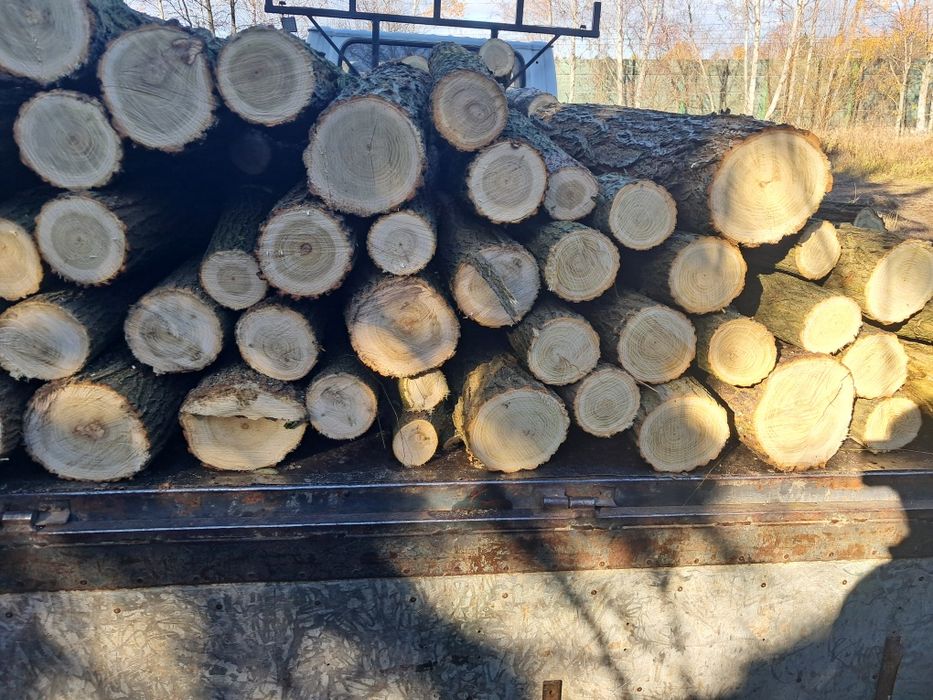 Drewno Akacja opałowa