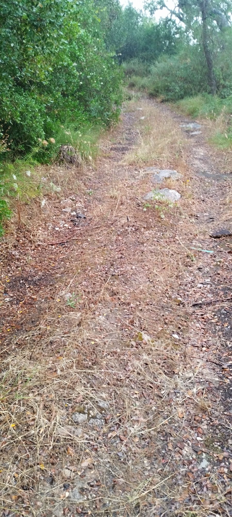 Terreno com 2146m2